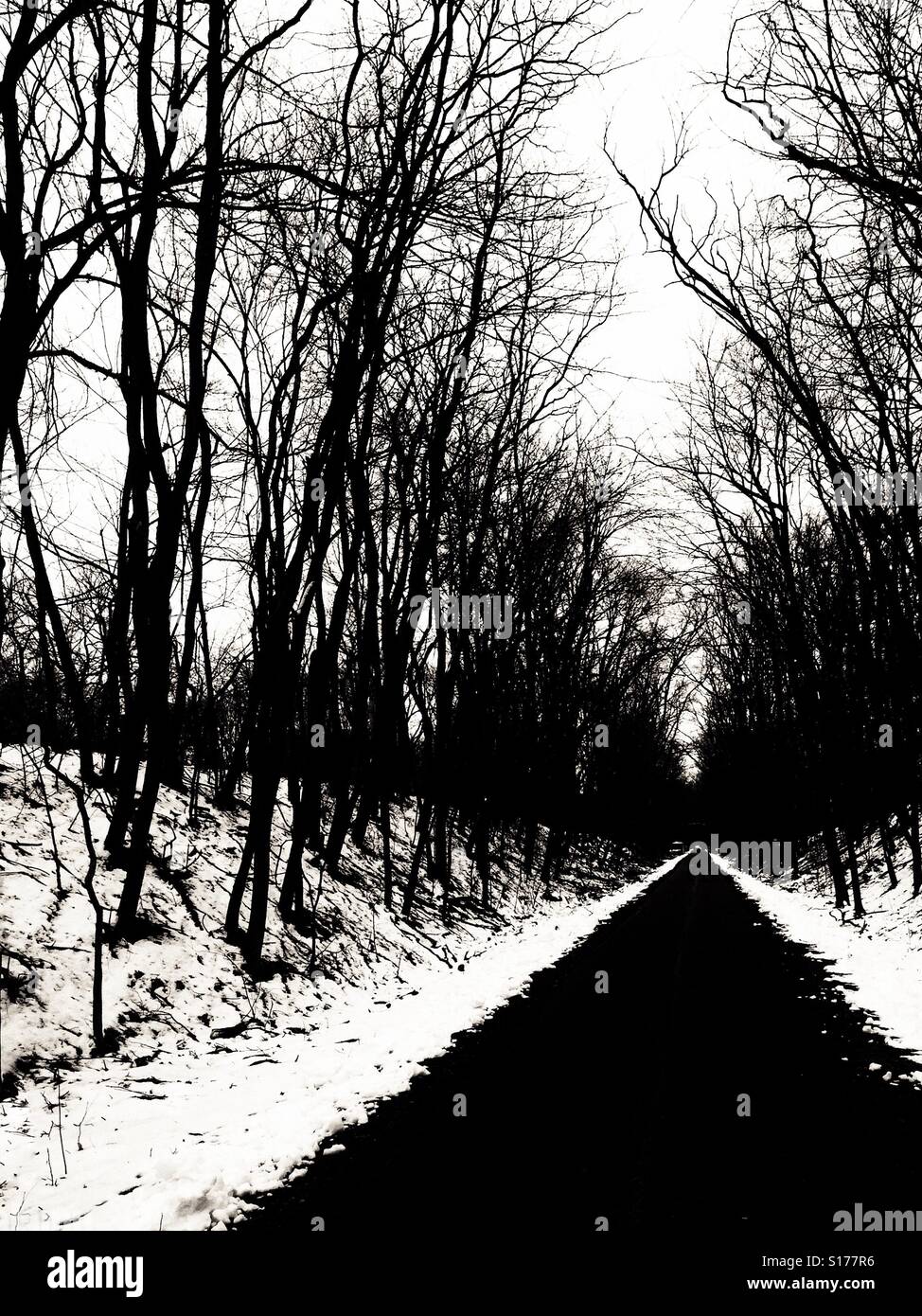 Trail, trees and snow on a winter walk with stark contrast of nature and man made trail from an old railroad line. - Smartphone Captured Stock Image