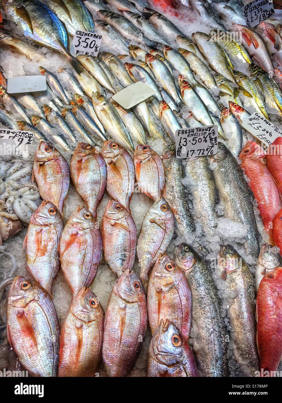 Fresh fish market Stock Photo Alamy