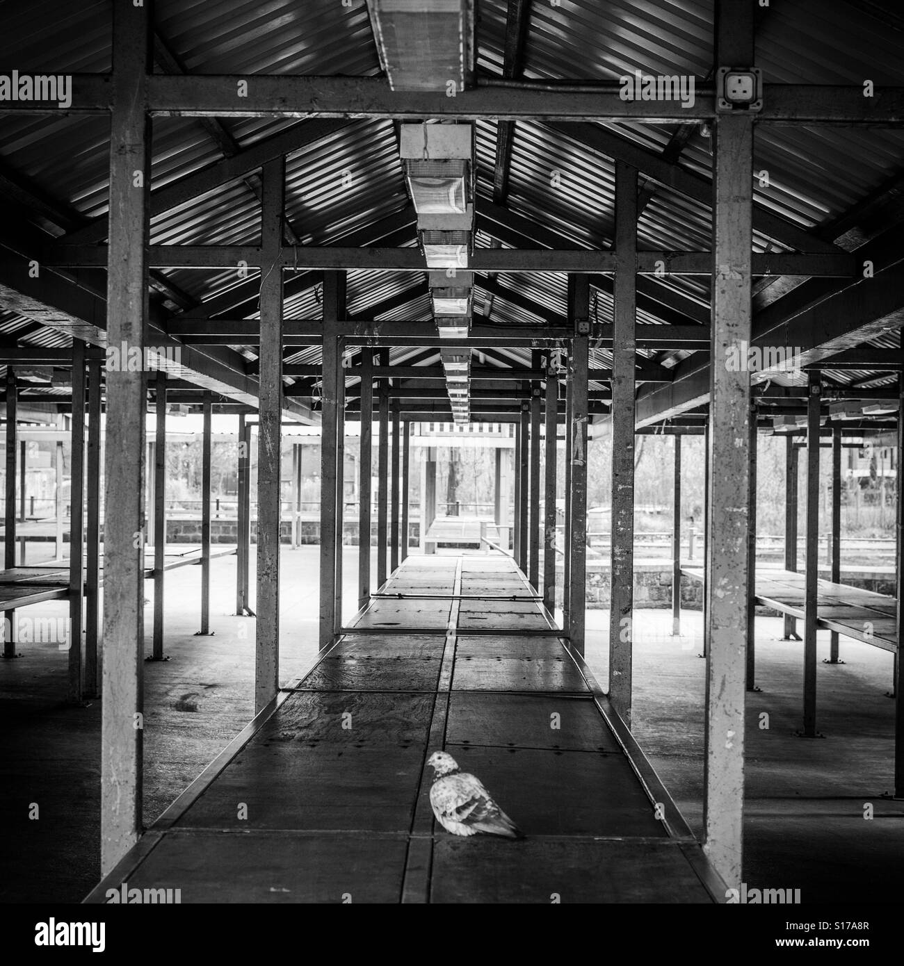 Empty market stalls at Todmorden market Stock Photo Alamy