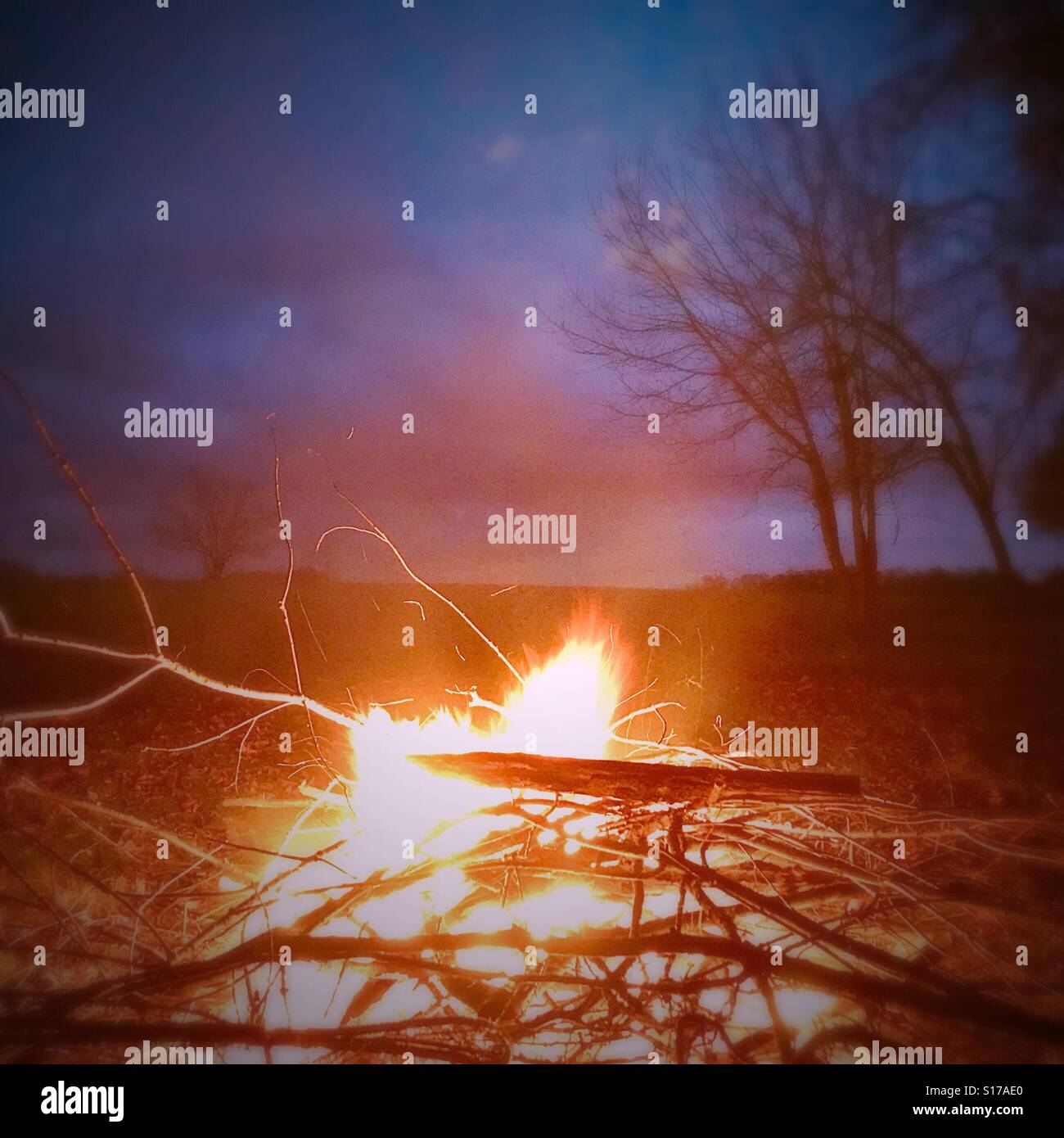 Campfire against a twilight blue sky Stock Photo