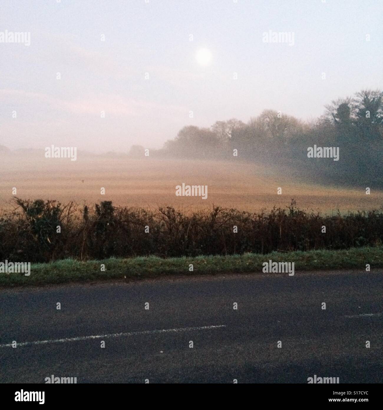 Misty fields, Hampshire, England, United Kingdom. - Smartphone Captured Stock Image