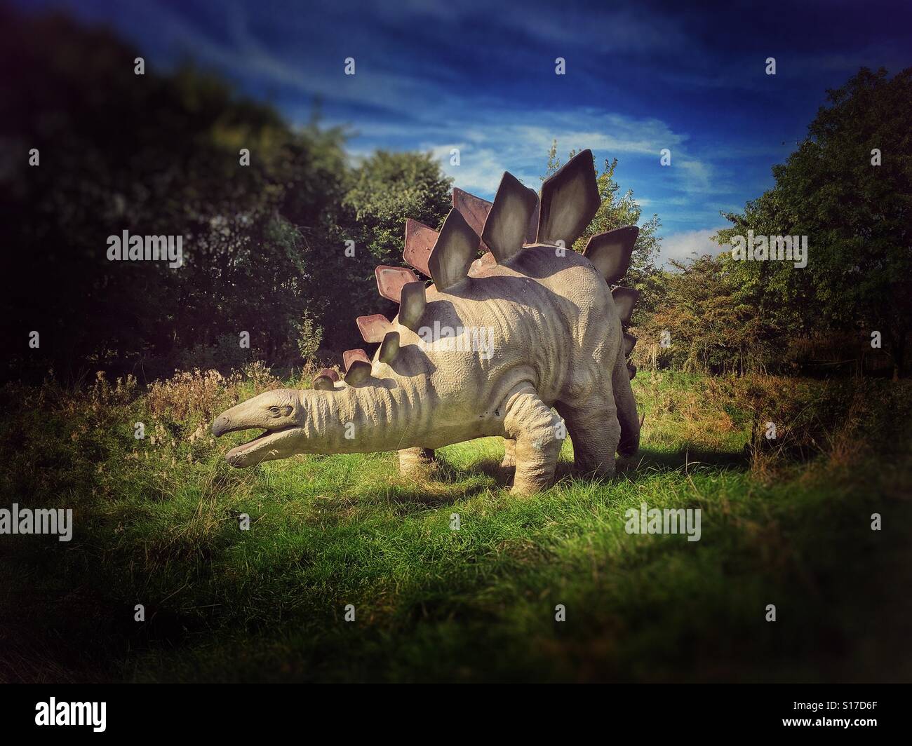 A Roaming Stegosaurus! These herbivores lived about 190 -150 Million Years ago, during the Jurassic Period, predominately in the Northern Hemisphere? Photo Credit - © COLIN HOSKINS. - Smartphone Captured Stock Image