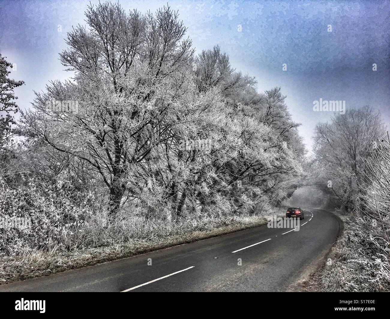 Road in winter - Smartphone Captured Stock Image