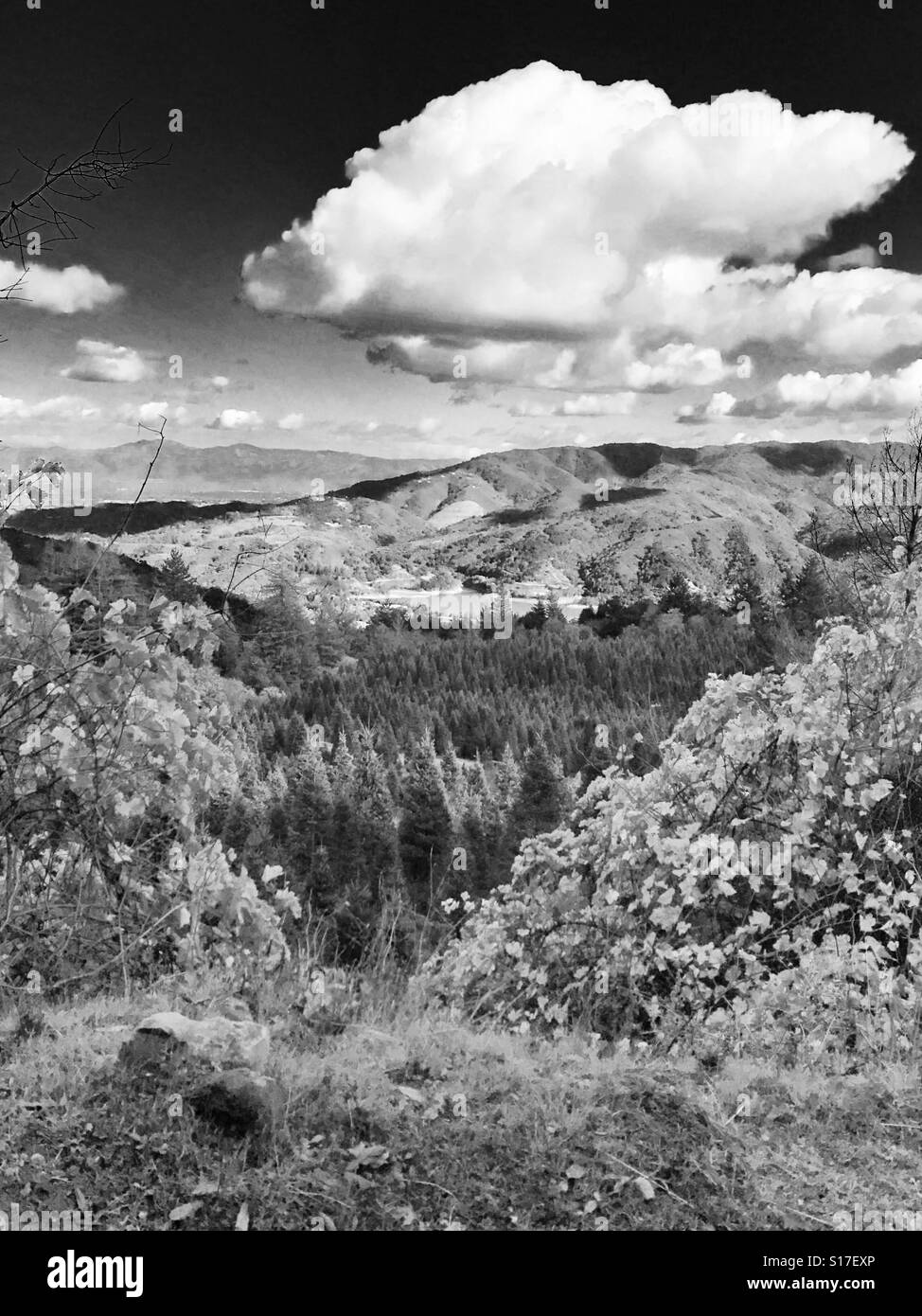 weather santa cruz mountains ca weather santa cruz mountains ca