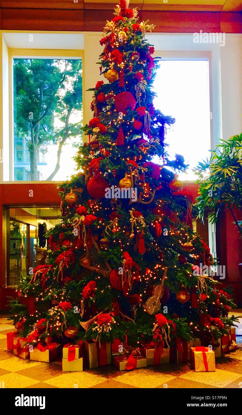 Christmas Tree Symphony Towers Stock Photo Alamy