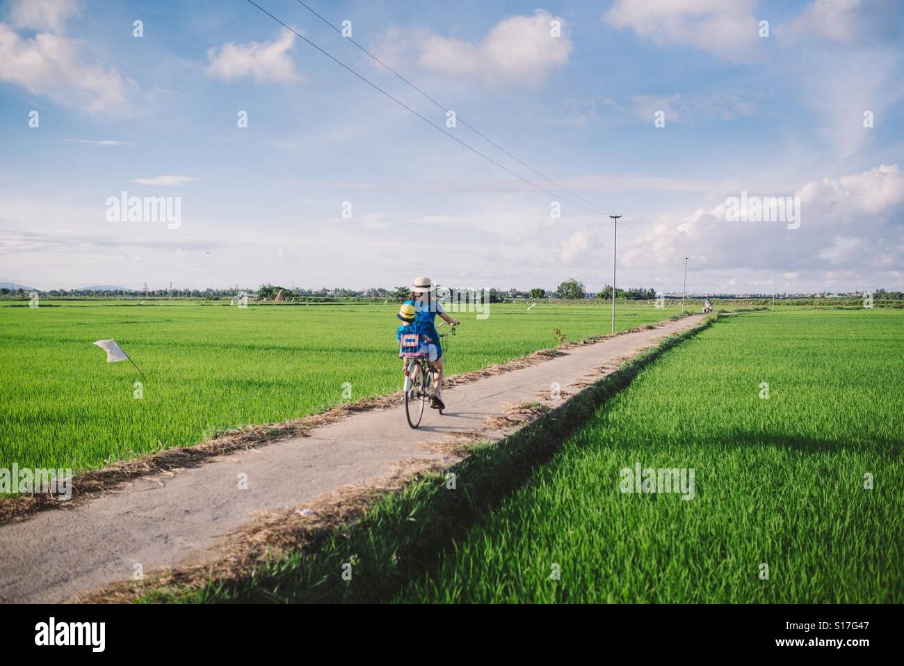 Go out with mommy, rice fields in Hoian old town, vietnam Stock Photo