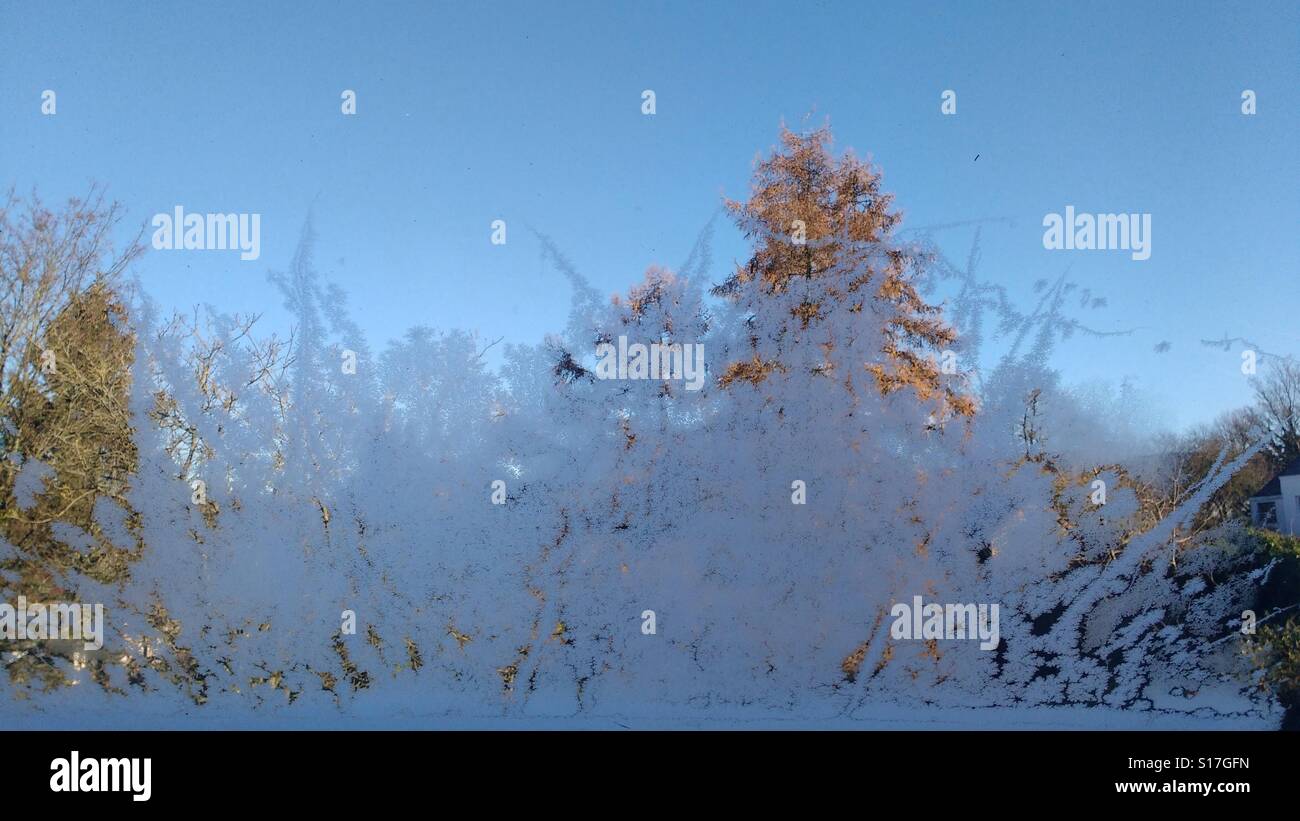 Frozen window #window #winter #snowflakes #snow #frozen Stock Photo