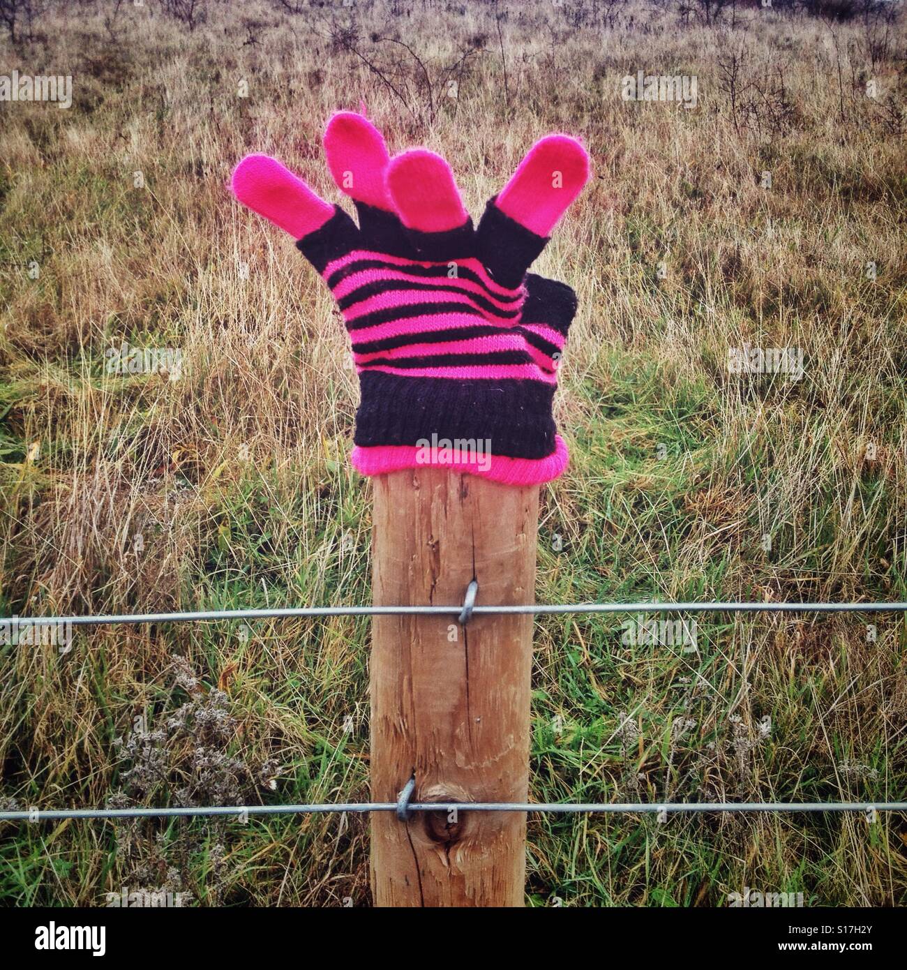 Lost glove on a post. Stock Photo