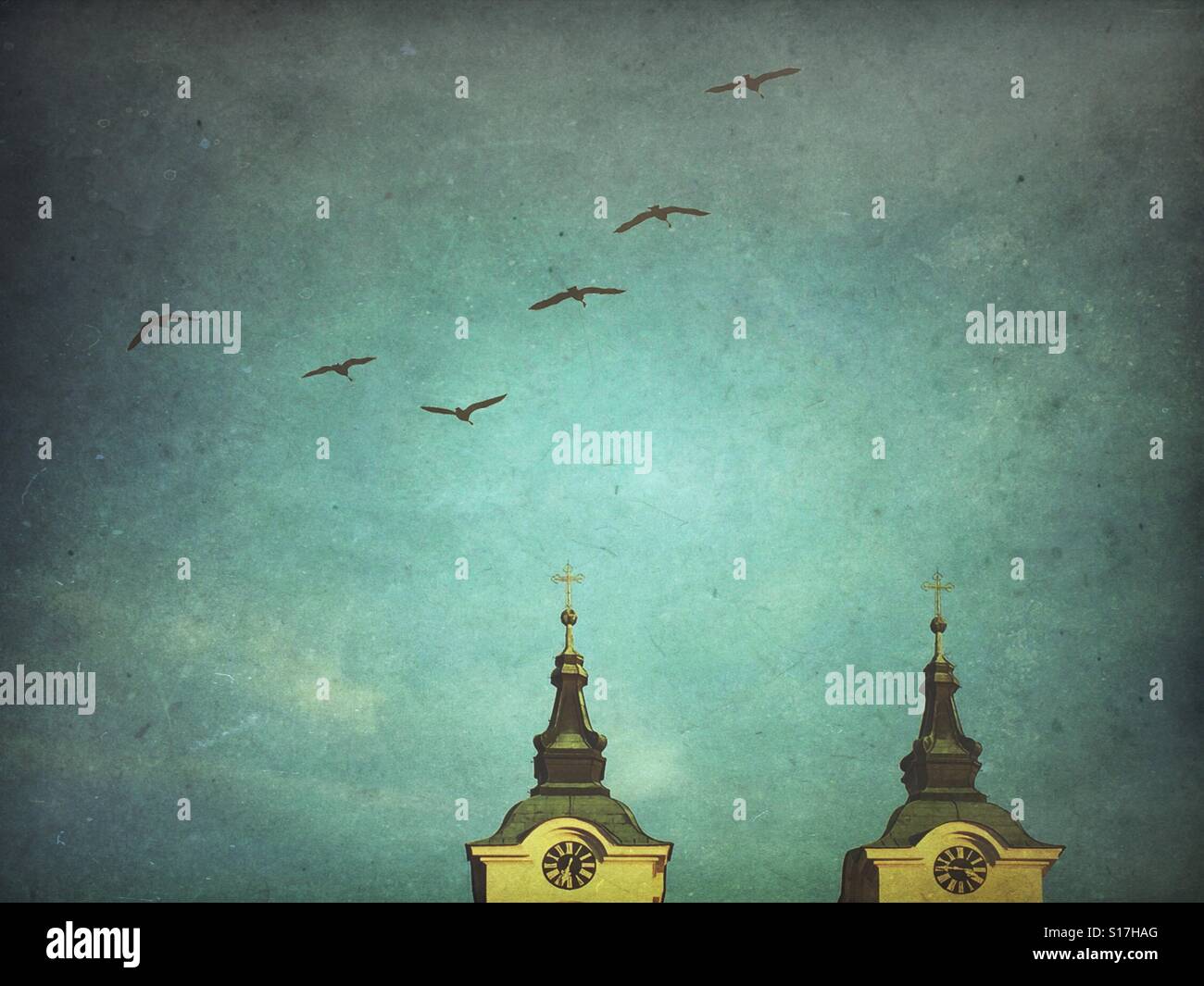 Birds flying over the church tower - Smartphone Captured Stock Image