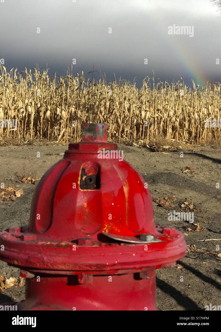 Top of fire hydrant in a rural area near a corn field with a rainbow above in western Colorado Stock Photo