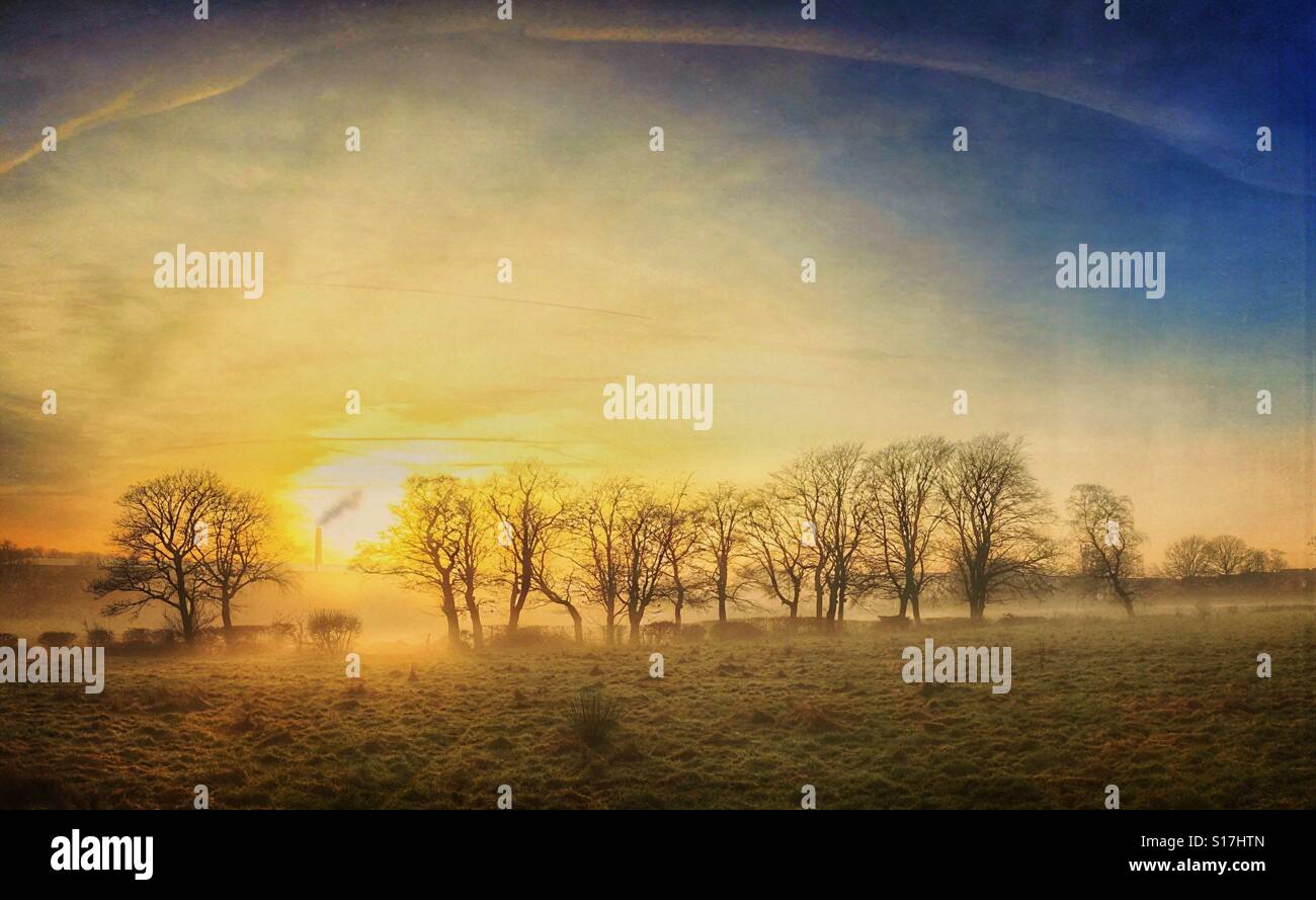 Misty evening through winter trees with smoking chimney stack in distance - Smartphone Captured Stock Image