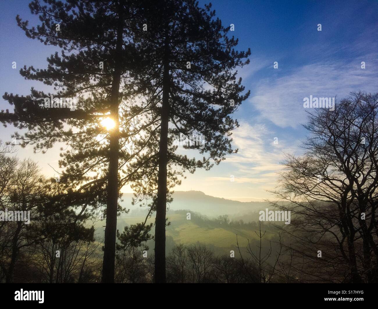 Pine trees silhouetted against a winter sky on High Tor in Matlock Bath in Derbyshire Peak District England UK - Smartphone Captured Stock Image
