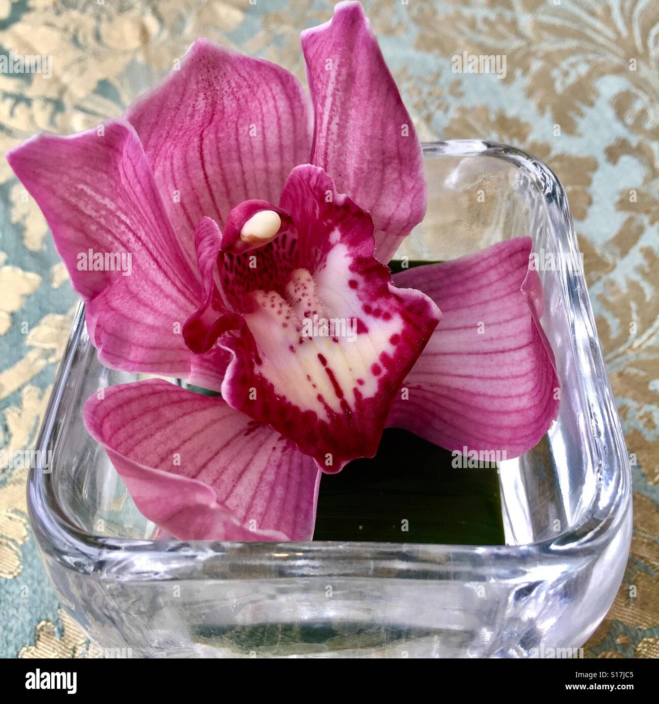 Cymbidium orchid on a tray Stock Photo
