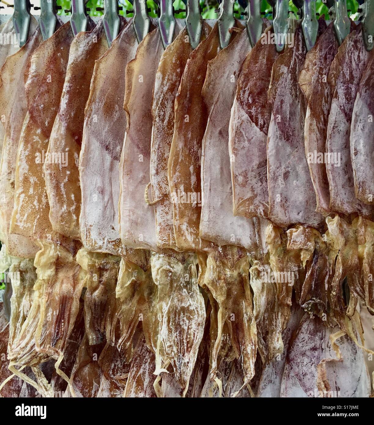 Dried squids a popular Thai snack in Thailand Stock Photo Alamy