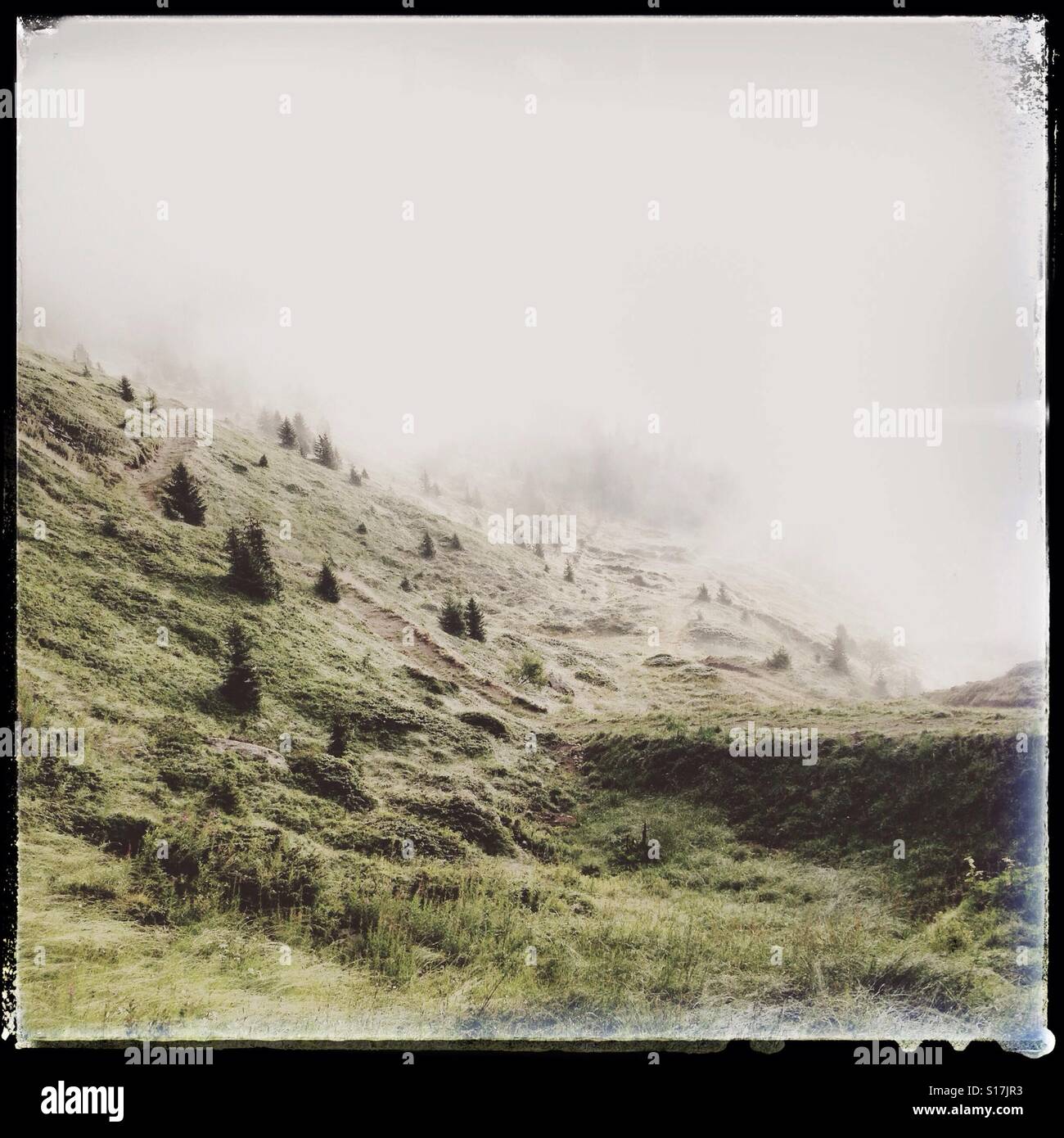 Towards the valley - Smartphone Captured Stock Image