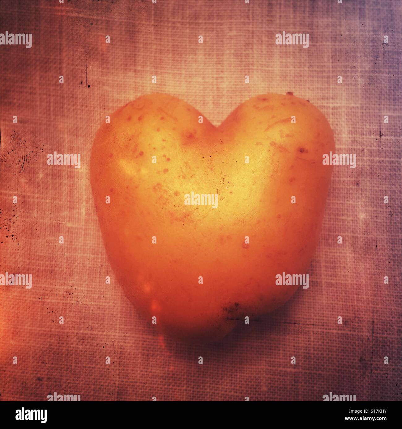Heart shaped potato - Smartphone Captured Stock Image