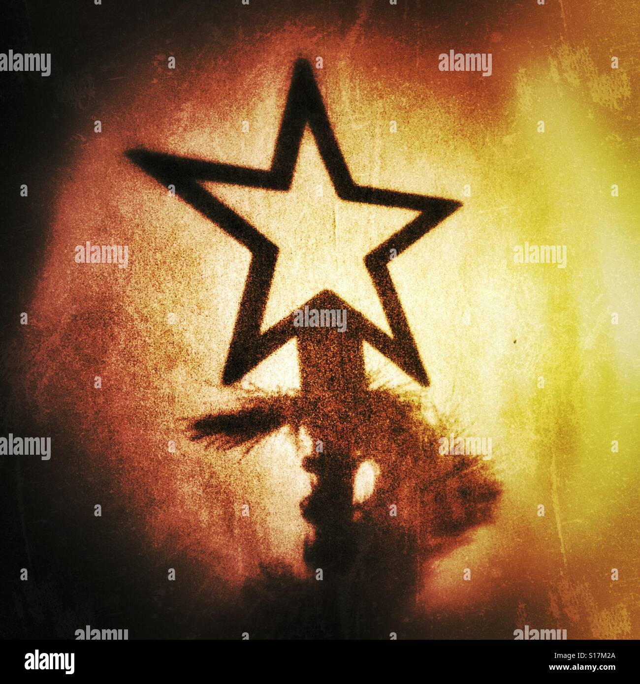 The shadow of a star on the wall which is on top of a Christmas tree - Smartphone Captured Stock Image