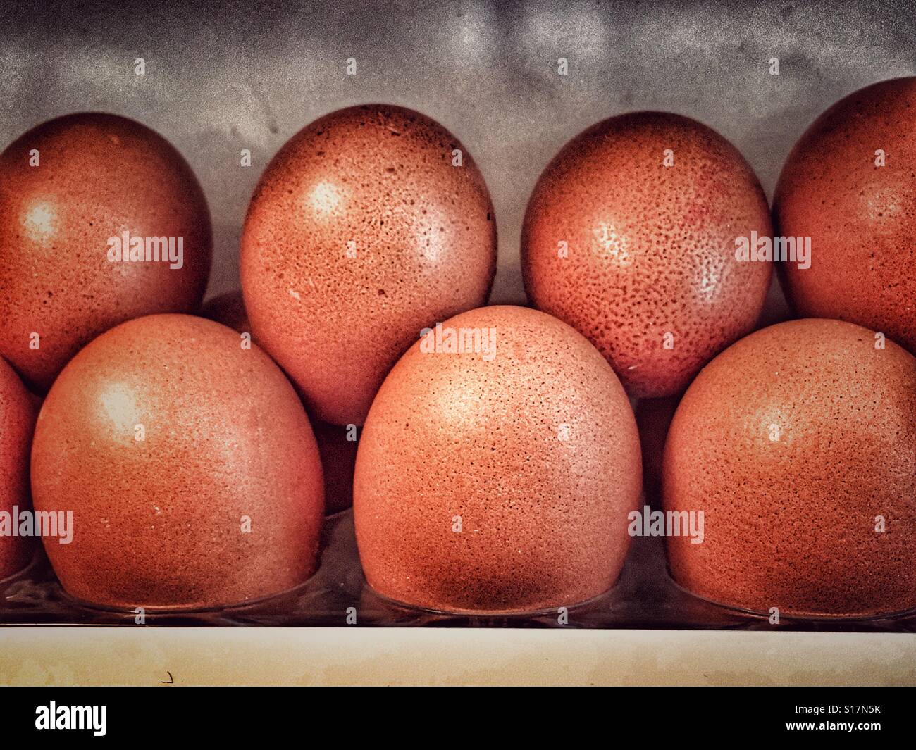 Eggs in the refrigerator - Smartphone Captured Stock Image