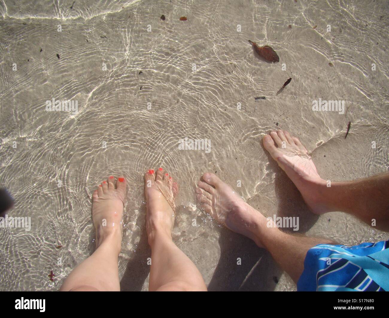 Key Largo Beach Stock Photos & Key Largo Beach Stock Images - Alamy
