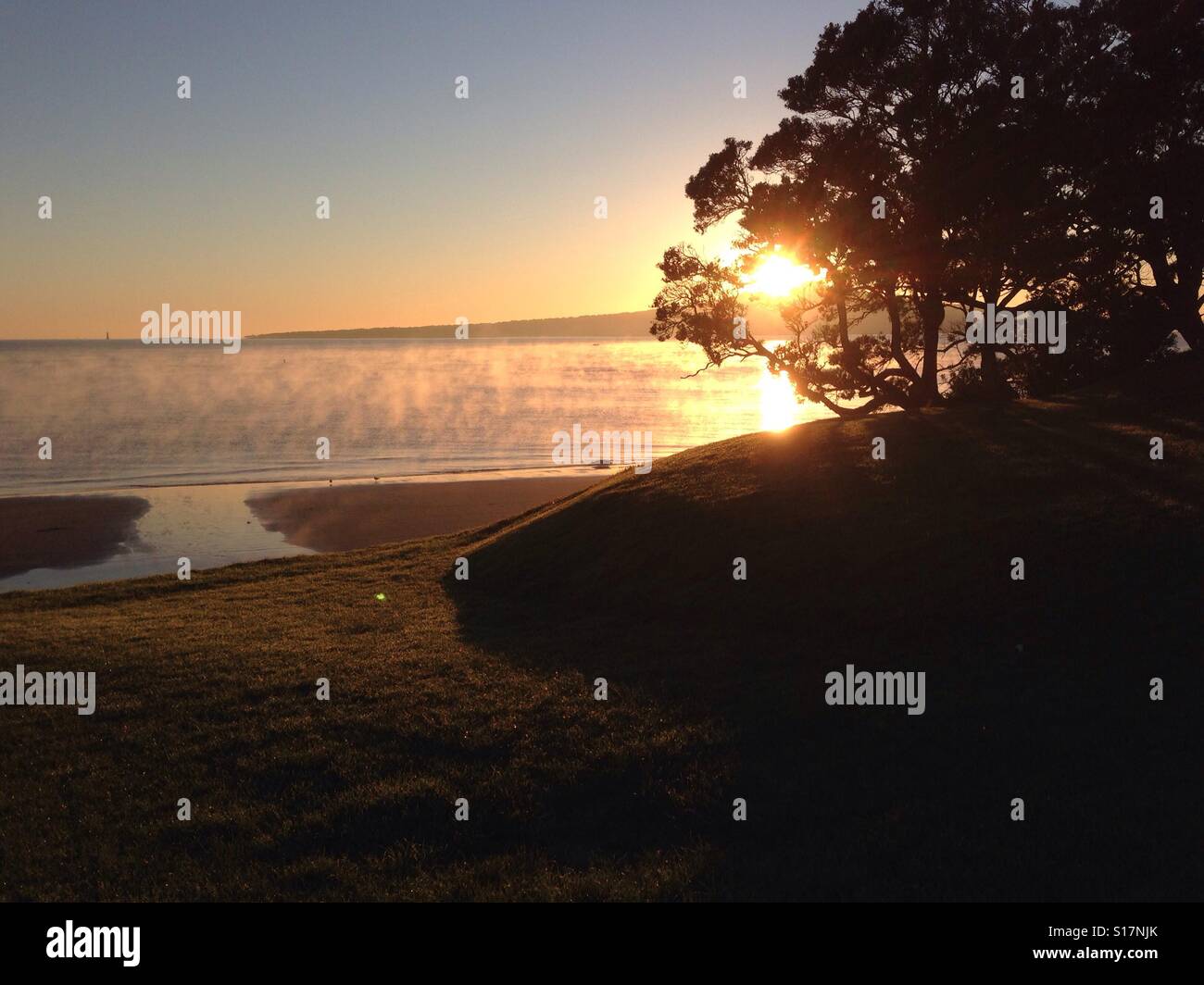 Sunrise at Narrow Neck Beach and Rangitoto Island through Pohutukawa Trees morning sea mist Stock Photo