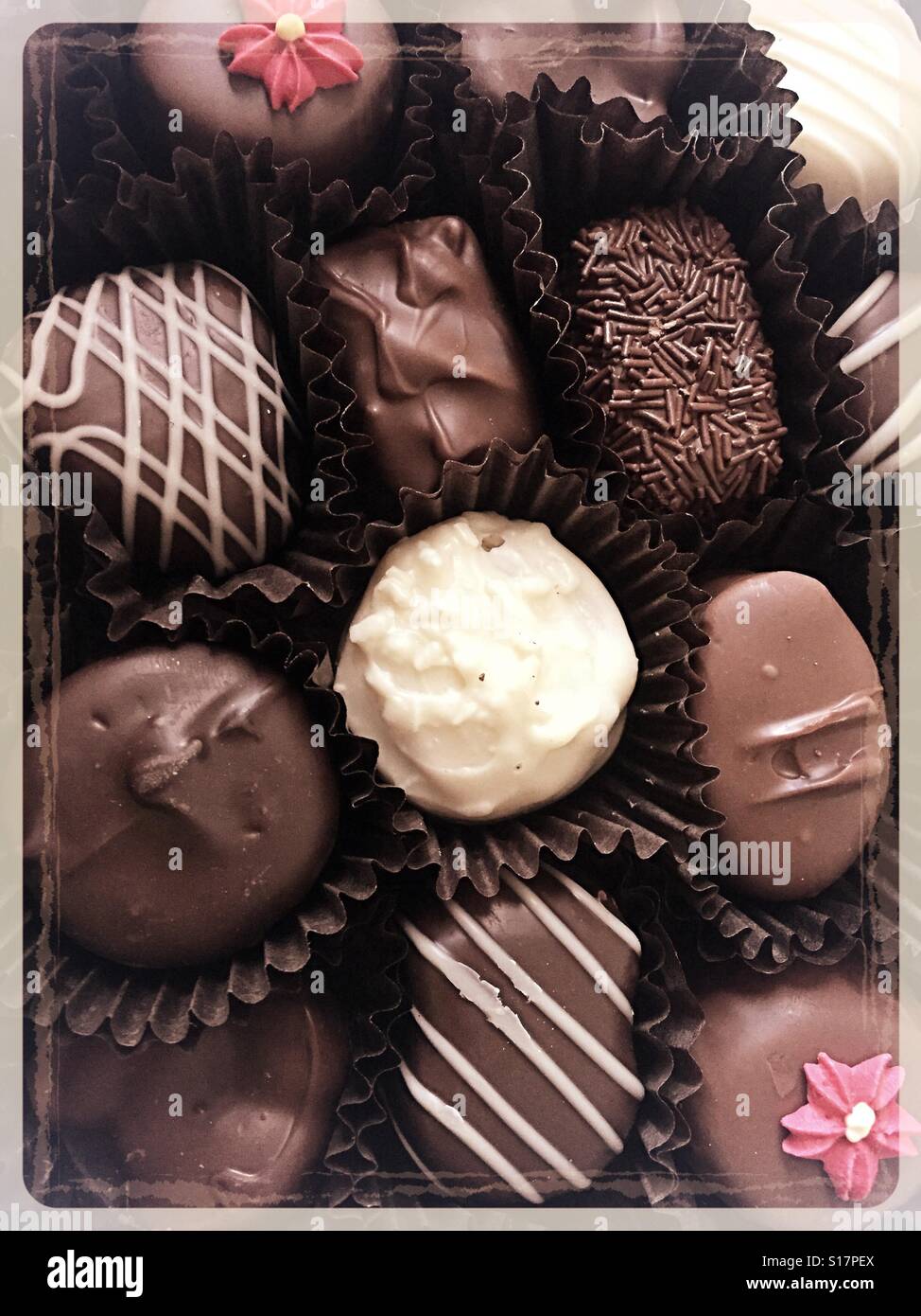 Close up of a gourmet chocolate candies - Smartphone Captured Stock Image