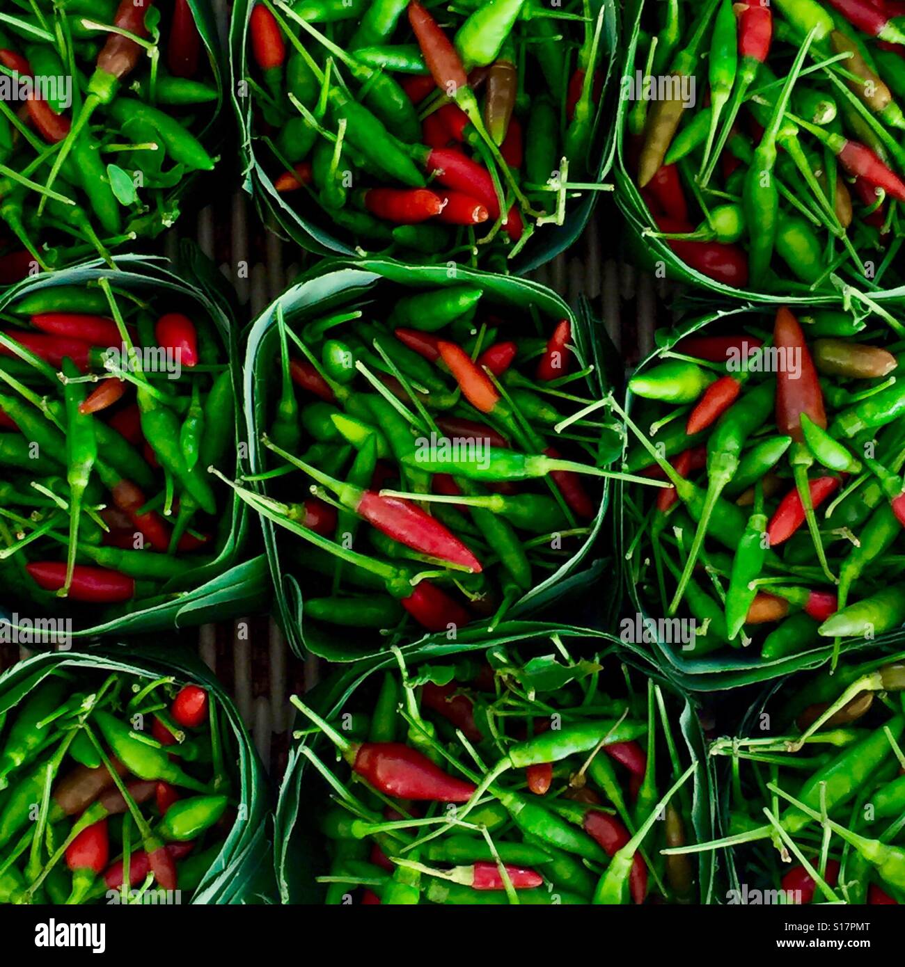 Thai birdeye chili, the hottest chili in Thailand Stock Photo Alamy