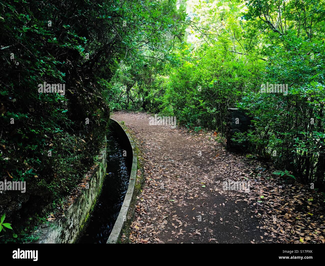 Levedas walk in Madeira - Smartphone Captured Stock Image
