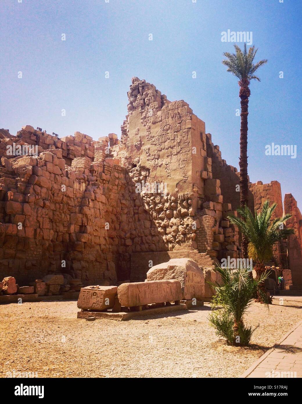 Palm trees and ruins, Luxor, Egypt - Smartphone Captured Stock Image