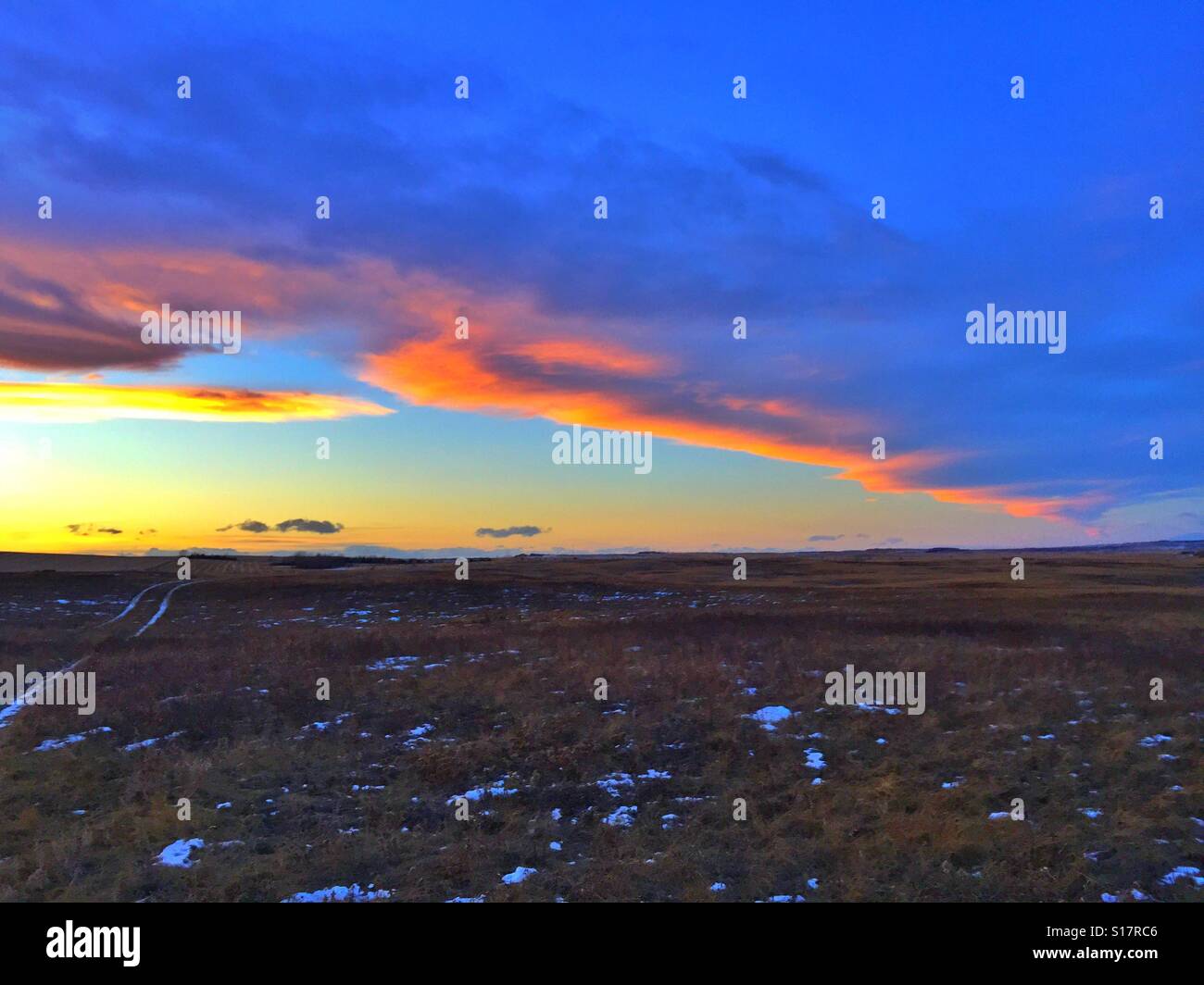 Trail in a farmer's field leading off into the sunset - Smartphone Captured Stock Image