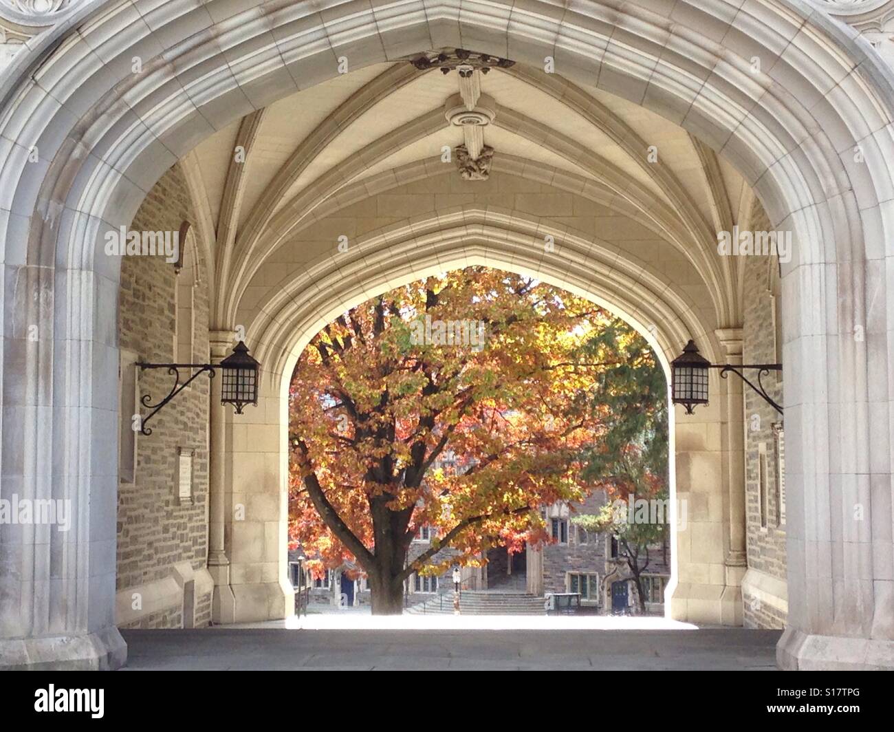 Fall in Princeton Stock Photo Alamy
