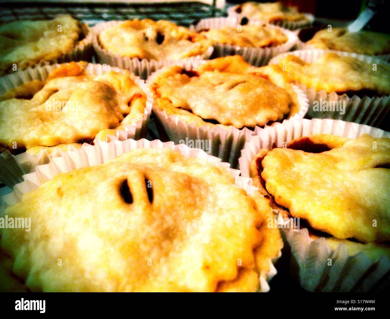 Homemade mince pies cooling in a cooling rack having just left the oven. Stock Photo