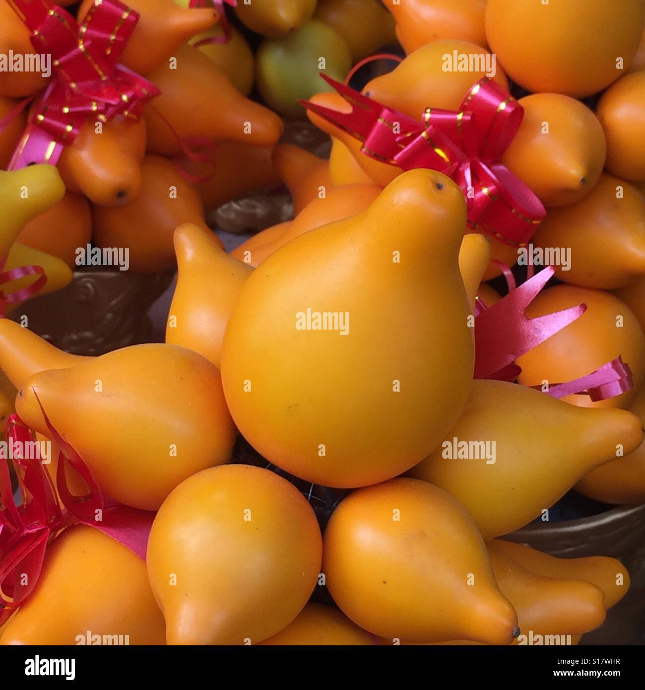 solanum mammosum chinese new year