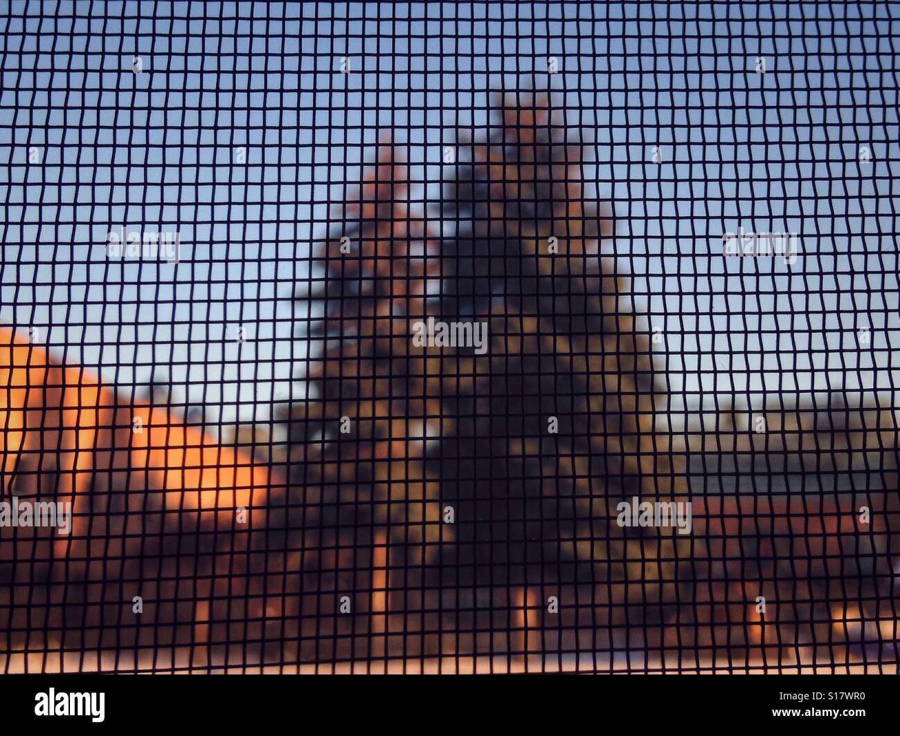 Looking through mosquitos net - Smartphone Captured Stock Image