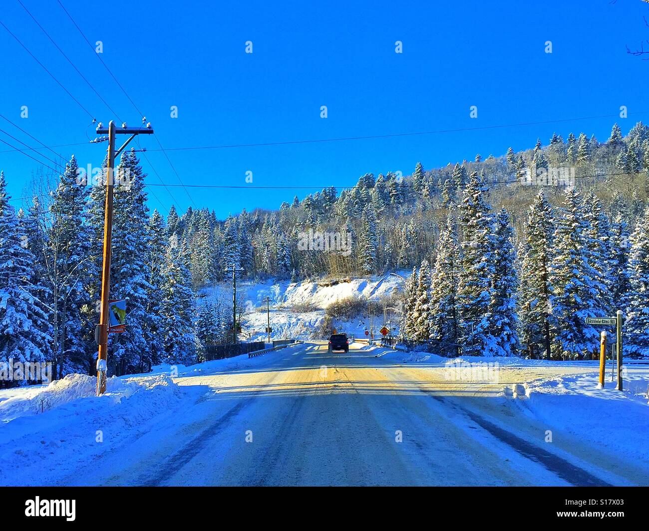 Winter time roadway in late afternoon with tree shadows falling across the road and snow laden evergreens - Smartphone Captured Stock Image