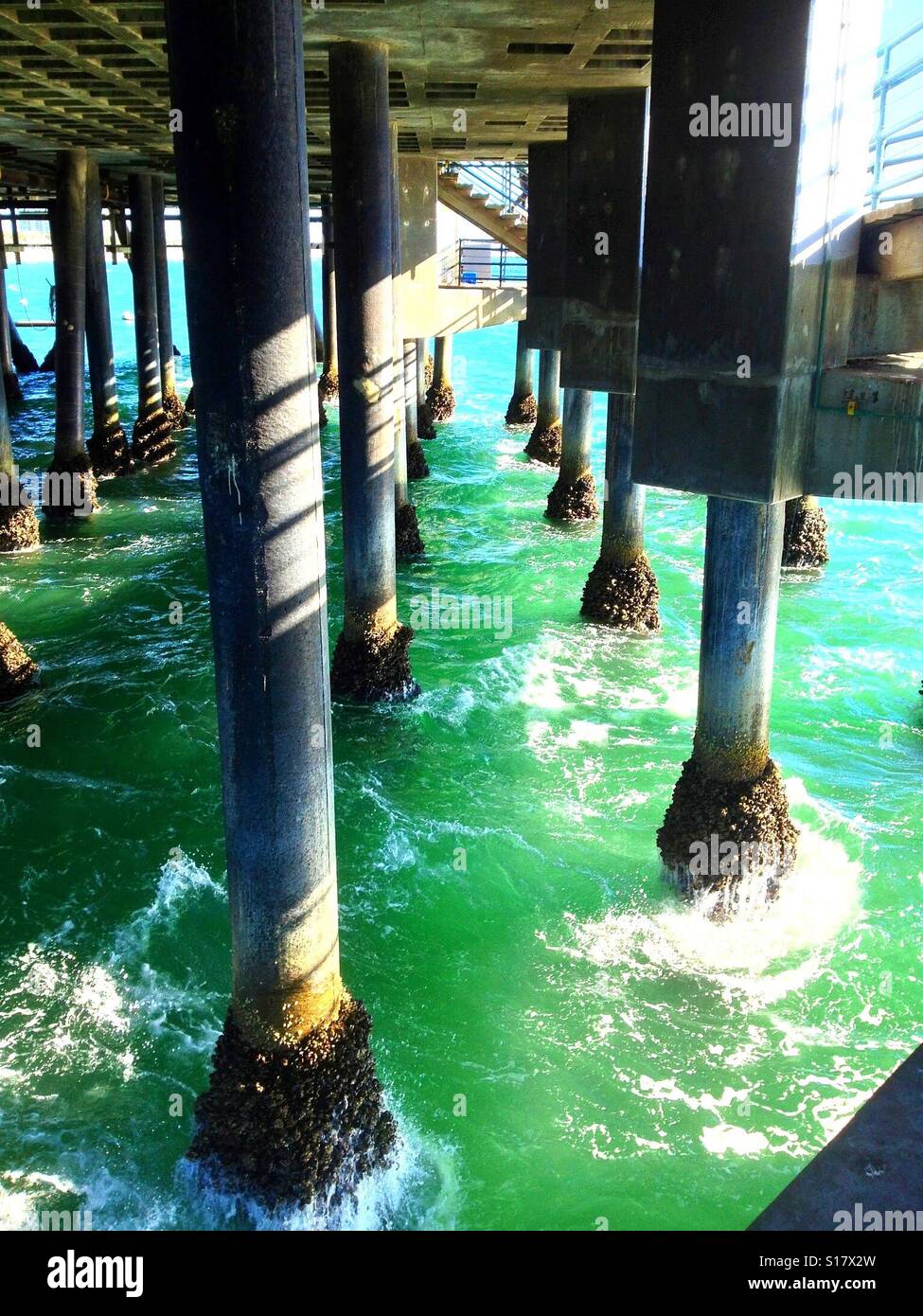Barnacles and mussels under the pier. Stock Photo