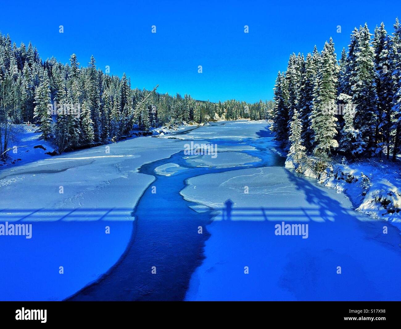 Frozen River viewed from a bridge with bridge and photographer's shadow and lined by evergreens - Smartphone Captured Stock Image