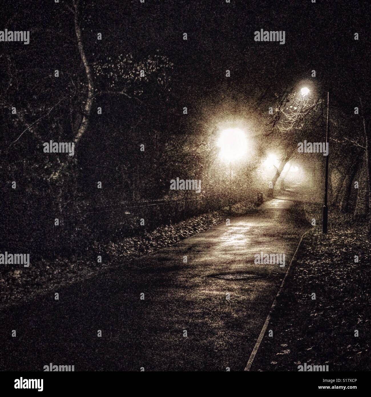 Pathway at night - Smartphone Captured Stock Image