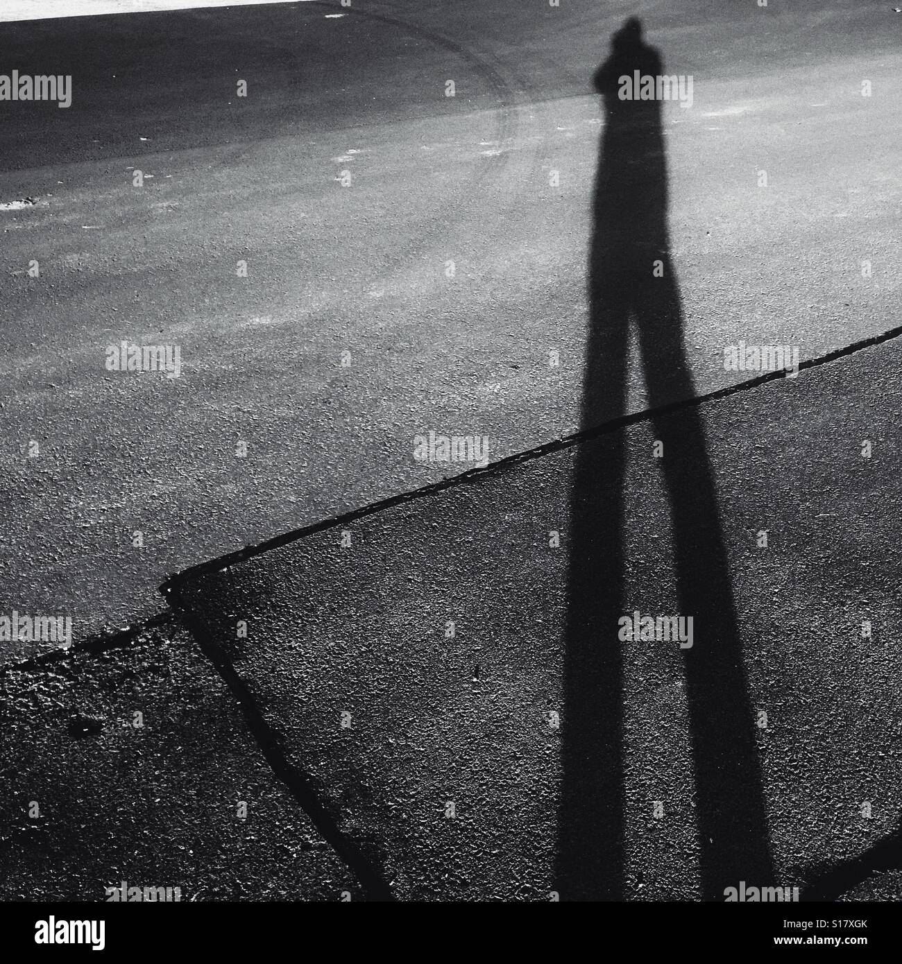 Winter long shadows in late winter afternoon sunshine - Smartphone Captured Stock Image