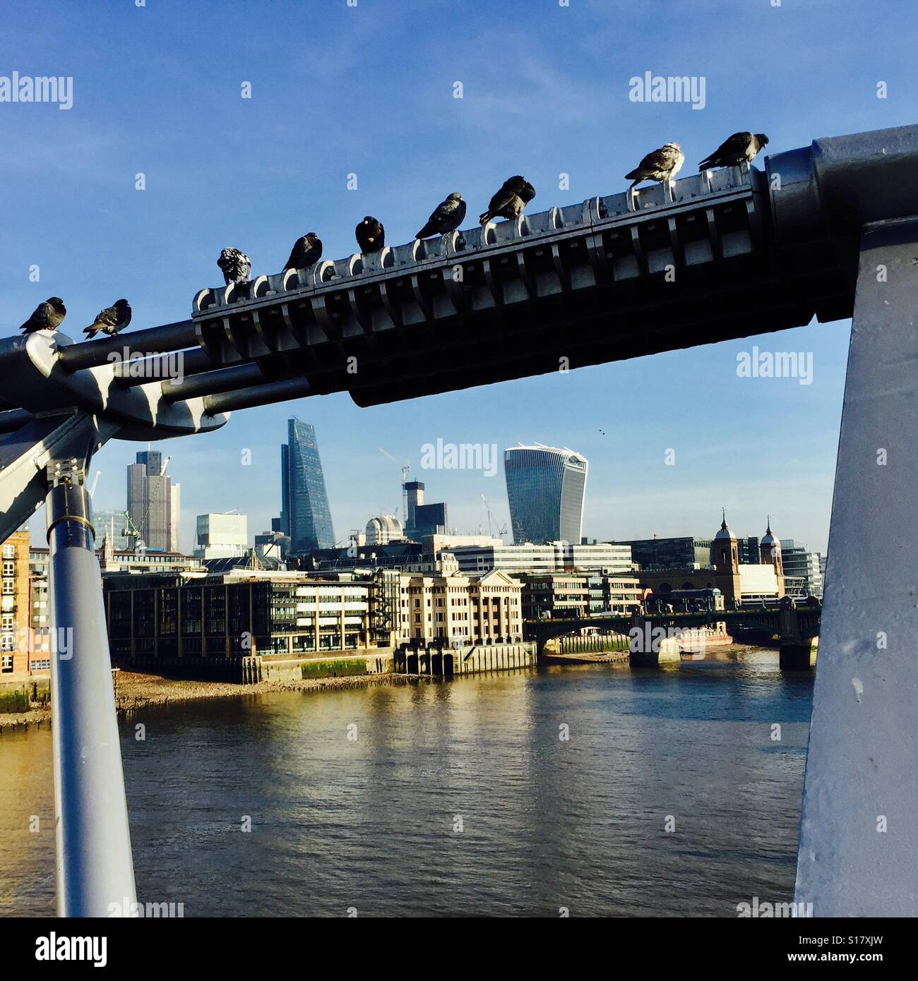 Pigeons roosting on the Millennium Bridge, London Stock Photo