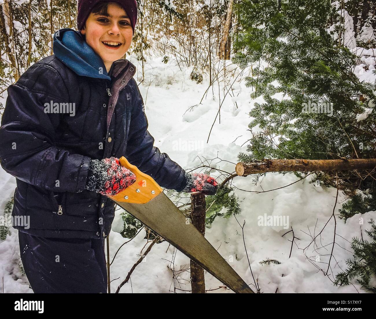 A 12 year old boy smiles proudly after cutting down his own Christmas tree. - Smartphone Captured Stock Image