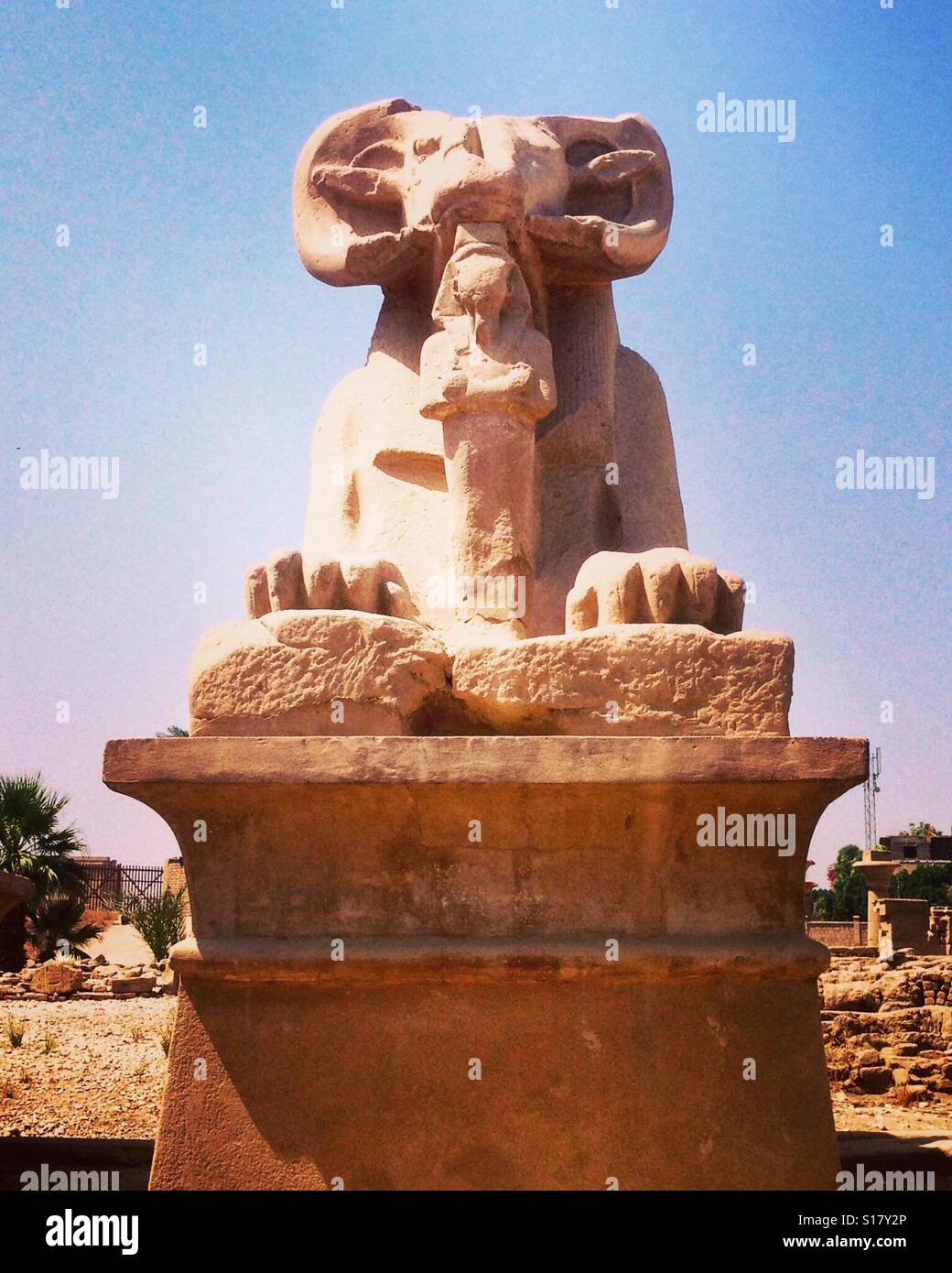 Stone ram statue - Smartphone Captured Stock Image
