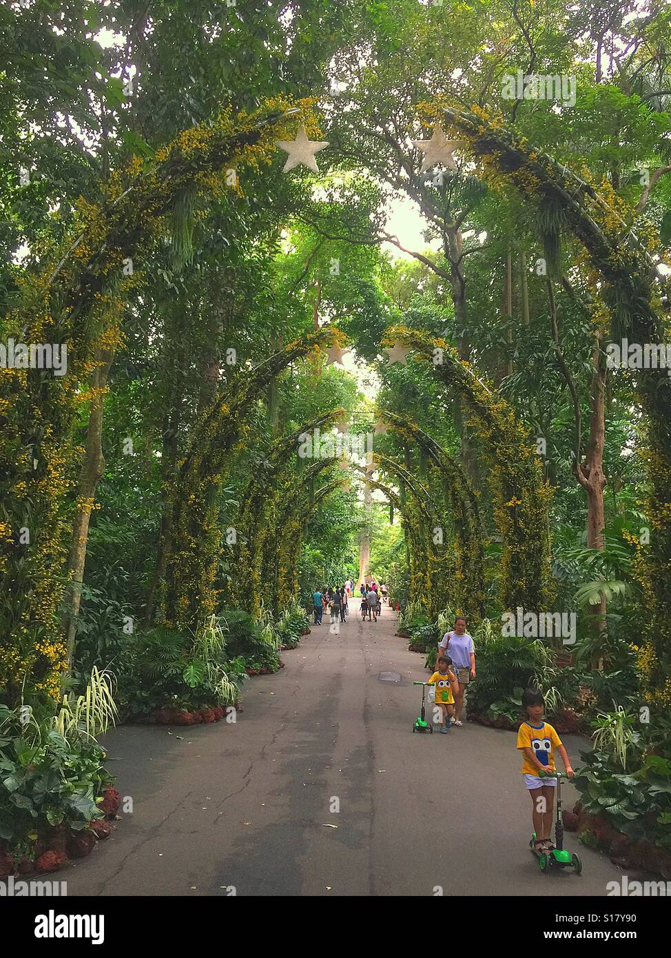 Christmas decorations at the Singapore Botanic Gardens, a UNESCO World Heritage Site Stock Photo