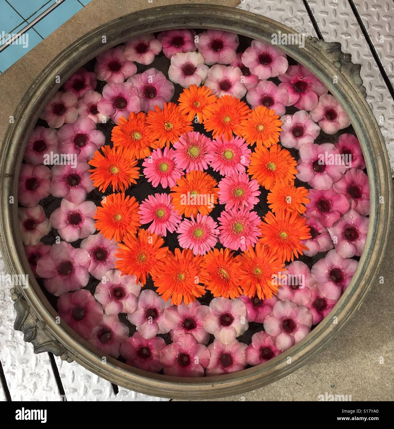 Floral arrangement floating in water hi-res stock photography and images -  Alamy