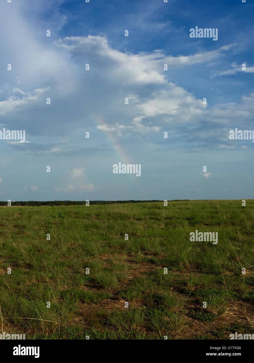 Rainbow grass hi-res stock photography and images - Alamy