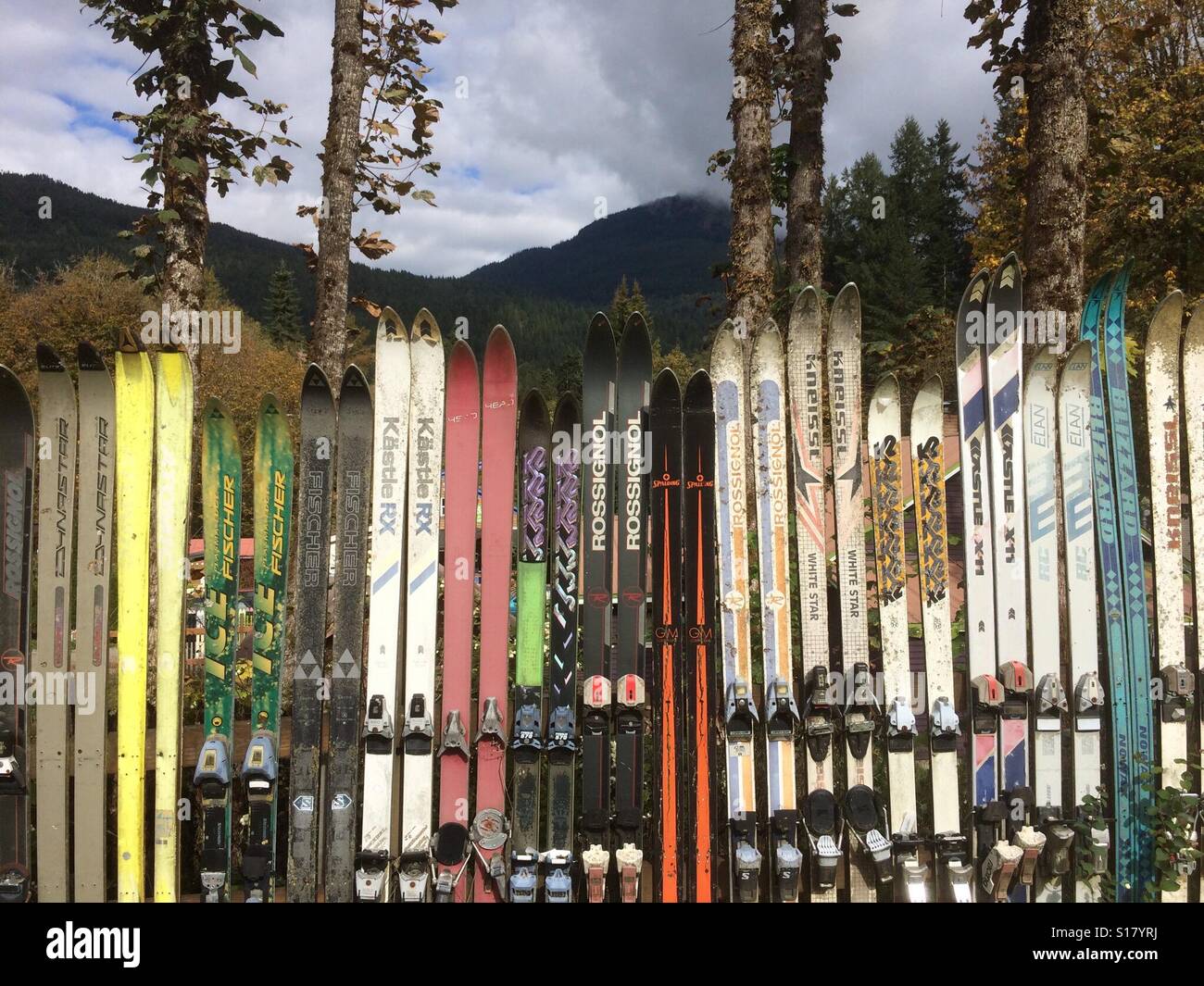 Fence made of old skis, Glacier, Washington Stock Photo