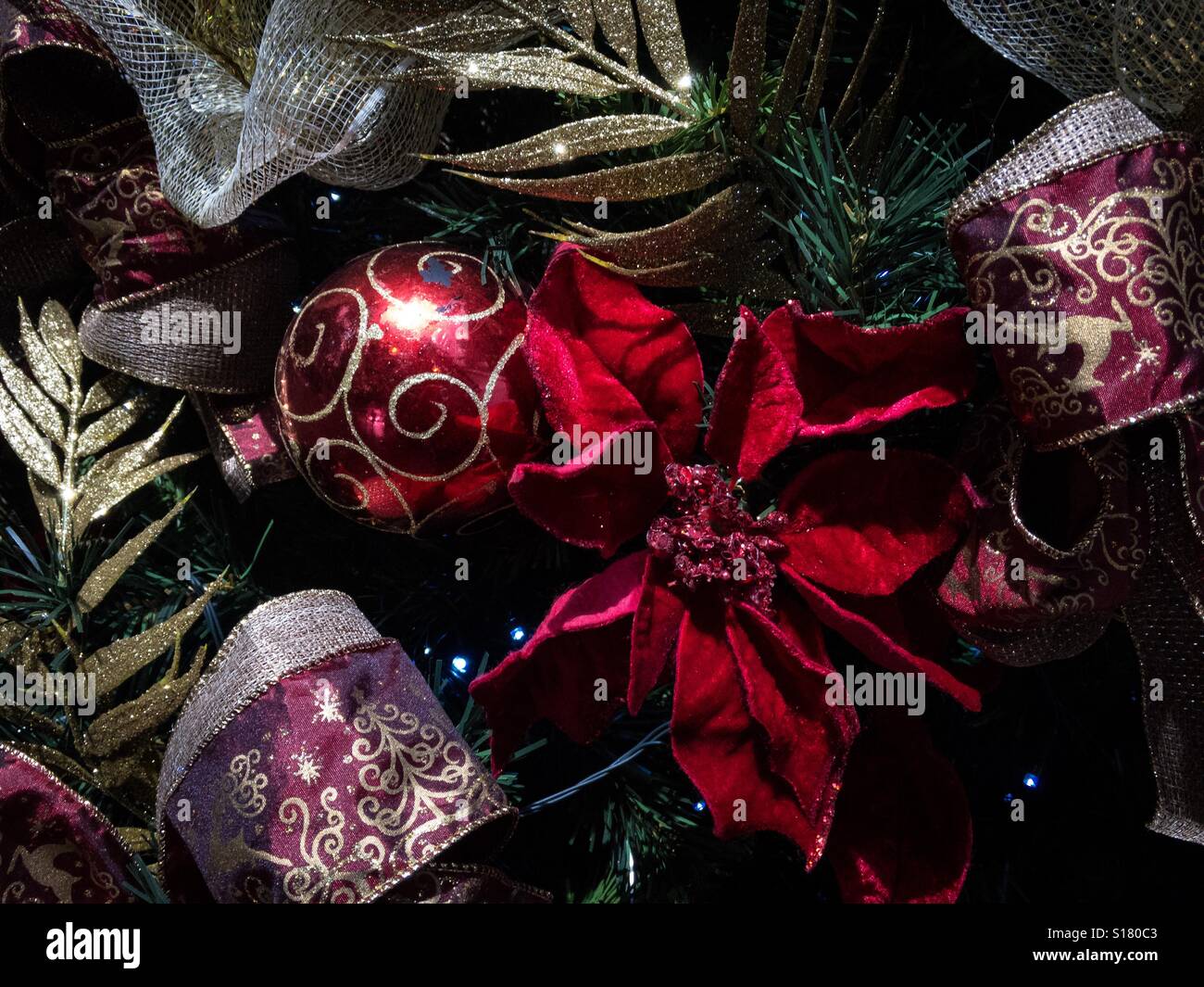 Christmas tree - Smartphone Captured Stock Image