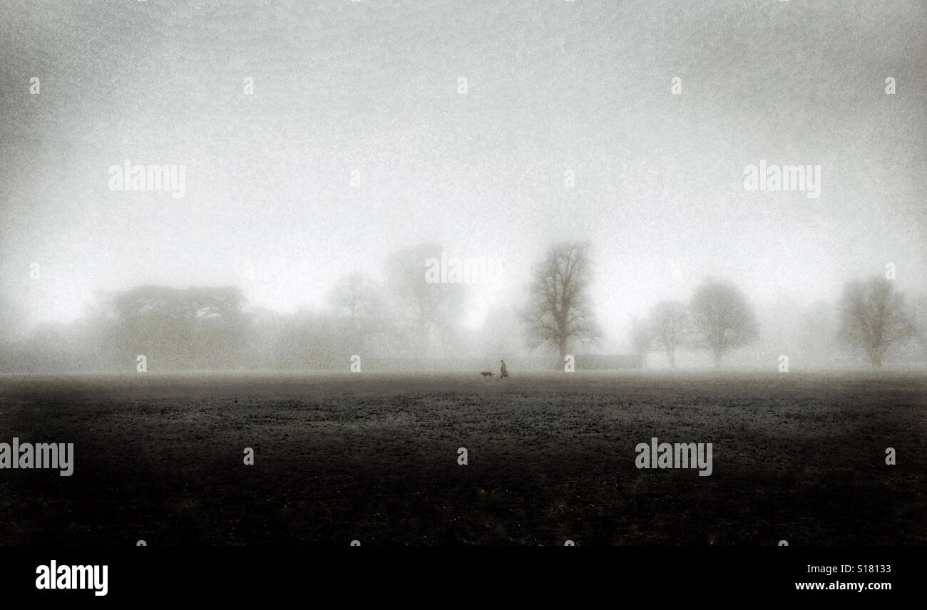'Man's Best Friend Is His Dog' A person is walking in an open parkland area with their dog. It's a foggy winter afternoon & the trees have lost all their leaves. Photo Credit - © COLIN HOSKINS. - Smartphone Captured Stock Image