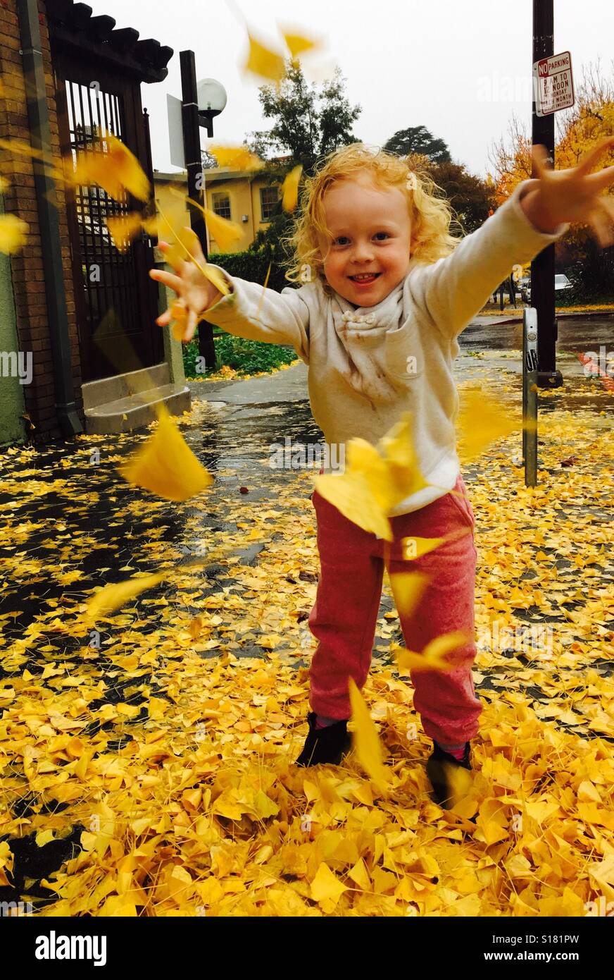Girl throwing leaves Stock Photo Alamy