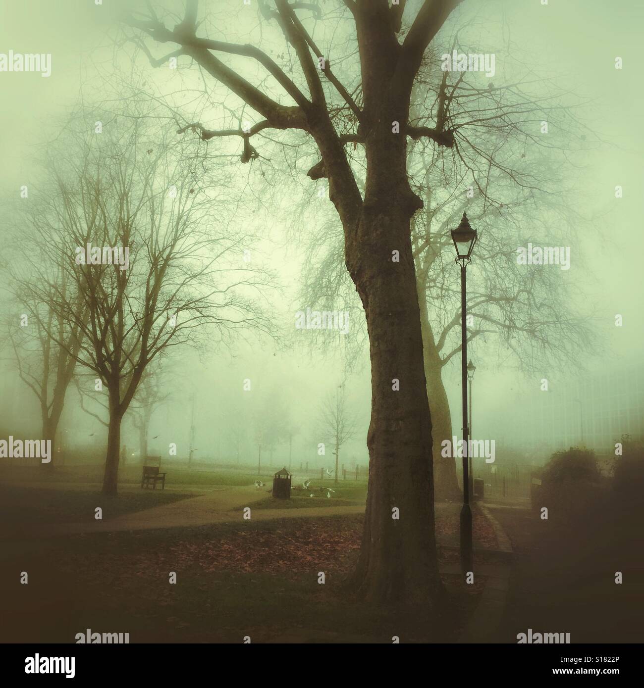 Misty morning in north London - Smartphone Captured Stock Image