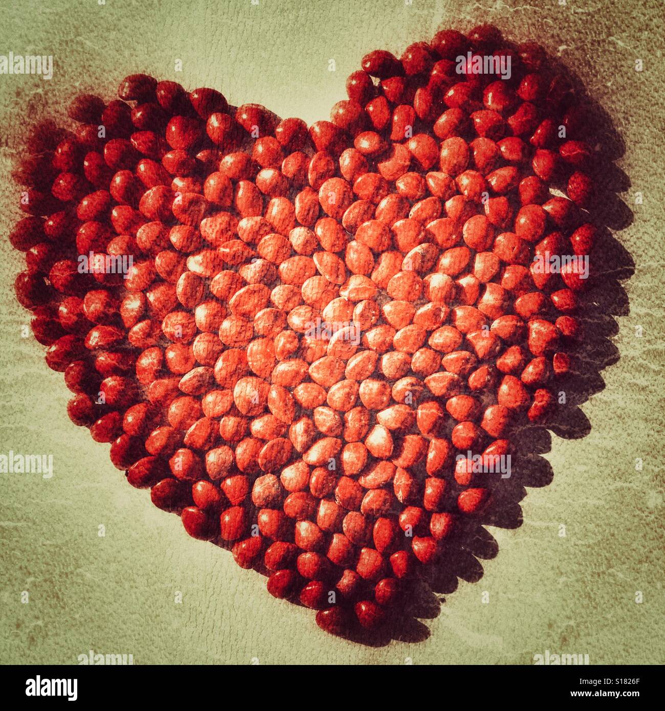 Red heart shape made from Saga seeds. The red, heart shaped seeds come from the saga tree, Adenanthera pavonina Stock Photo